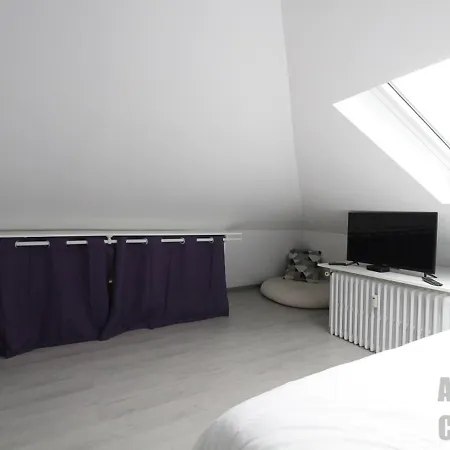 T3 Au Mont-dore, Hyper Centre, Proche Thermes, Bien Equipe, Max 4 Pers, Petit Chien Ok. - Fr-1-608-227 Apartment